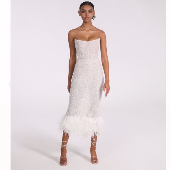 LEE PETRA GREBENAU Strapless Midi Dress with Feather Trim     NEW Size 2 - Picture 1 of 16